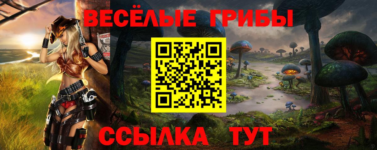 Дербент  Галлюциногенные грибы Psilocybine cubensis  Вход с VPN  Псилоцибиновые грибы Magic Shrooms 